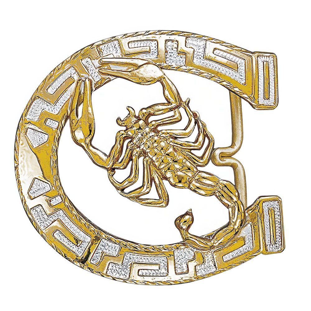 5702 Crumine Horseshoe Scorpion Buckle - Silver Gold Plated - 3 X 3